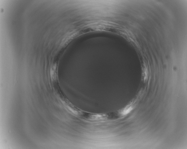 X0000057100239200510071945