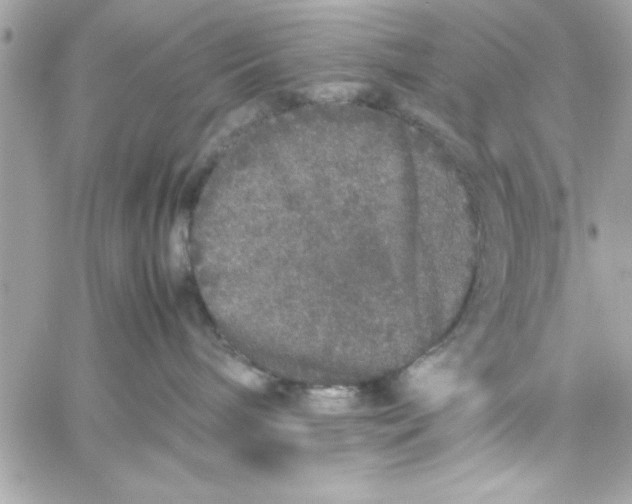 X0000057100240200510071945