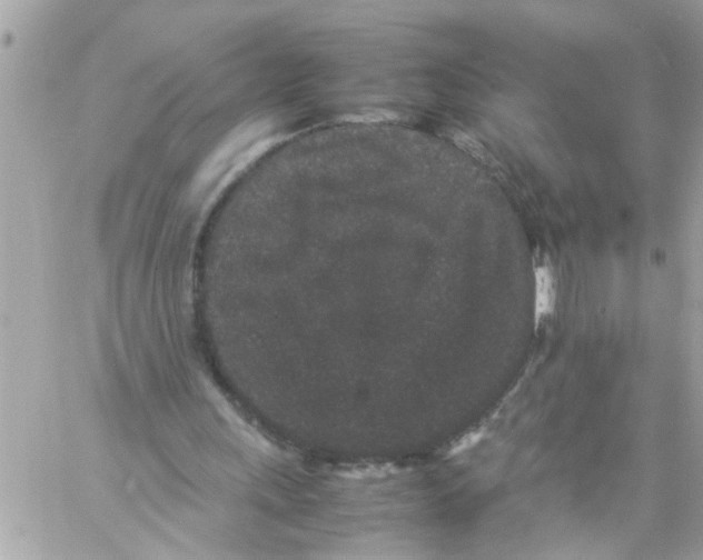 X0000057100243200510071944