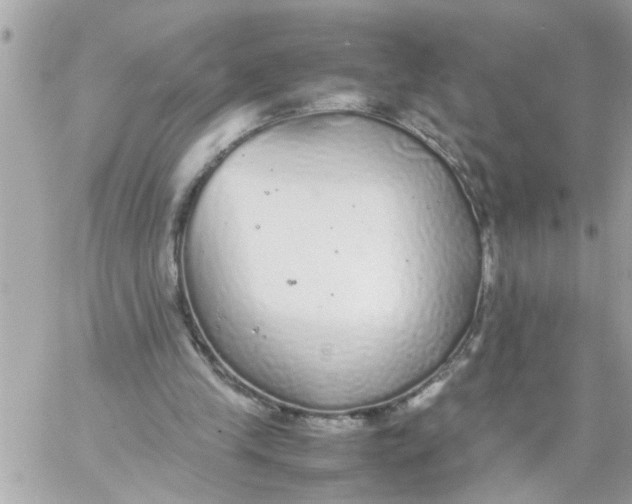 X0000057100245200510071944