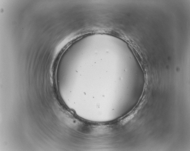 X0000057100246200510071944