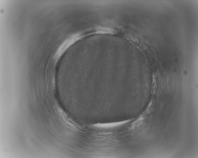 X0000057100247200510071944