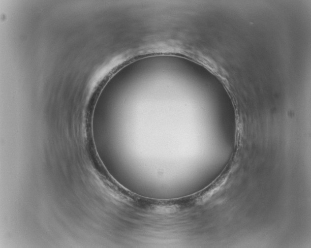 X0000057100248200510071944