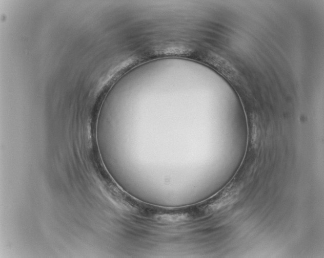 X0000057100251200510071944