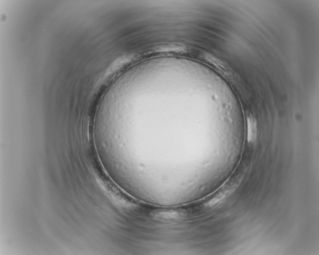 X0000057100253200510071944