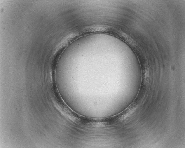 X0000057100254200510071944