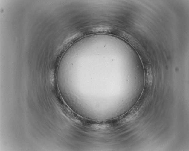 X0000057100255200510071944