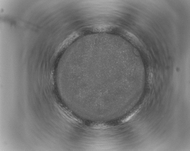 X0000057100258200510071945