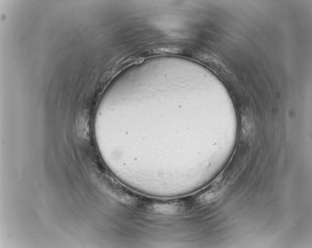 X0000057100259200510071945