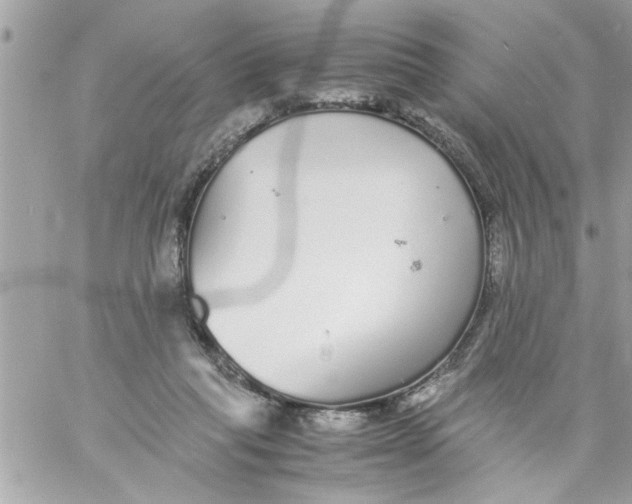 X0000057100261200510071945