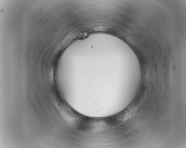 X0000057100262200510071945