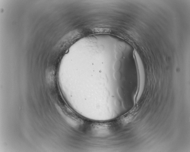 X0000057100263200510071945