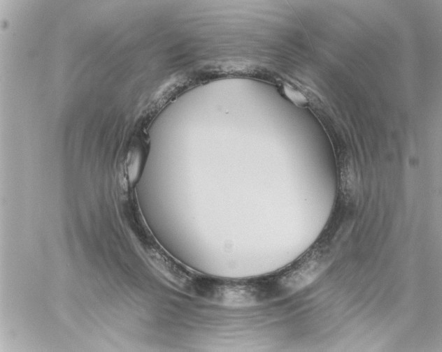 X0000057100264200510071945