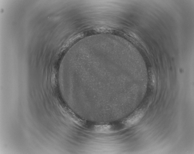 X0000057100266200510071945