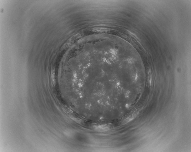 X0000057100267200510071945