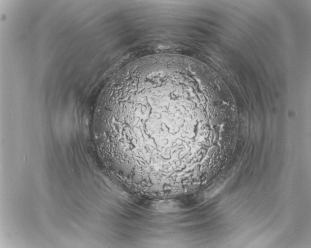 X0000057100269200510071945