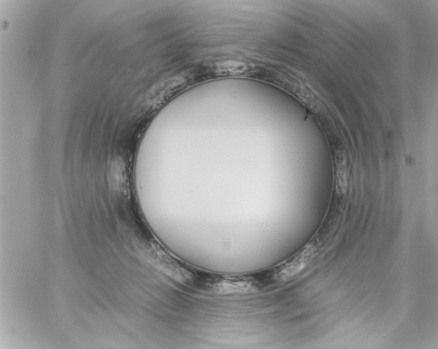 X0000057100270200510071945