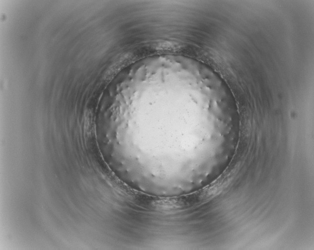 X0000057100273200510071945