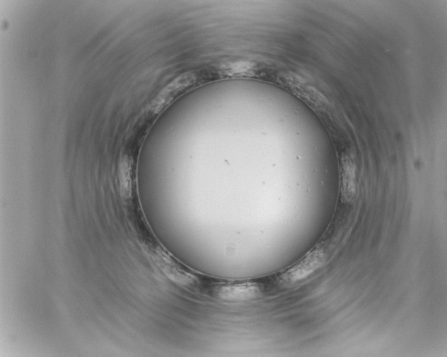 X0000057100274200510071945