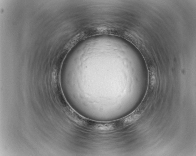 X0000057100275200510071945