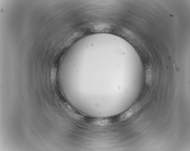 X0000057100278200510071945