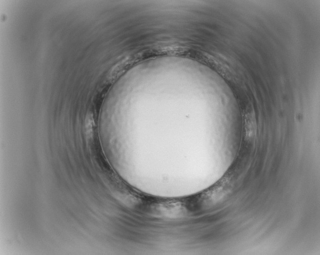 X0000057100279200510071945