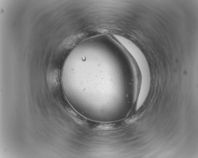 X0000057100280200510071945