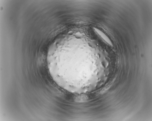 X0000057100281200510071945