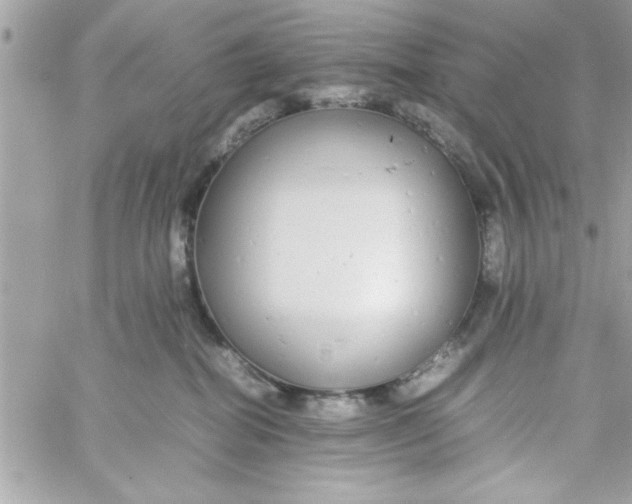 X0000057100282200510071945