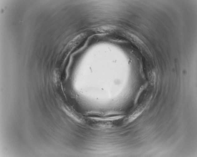 X0000057100284200510071945