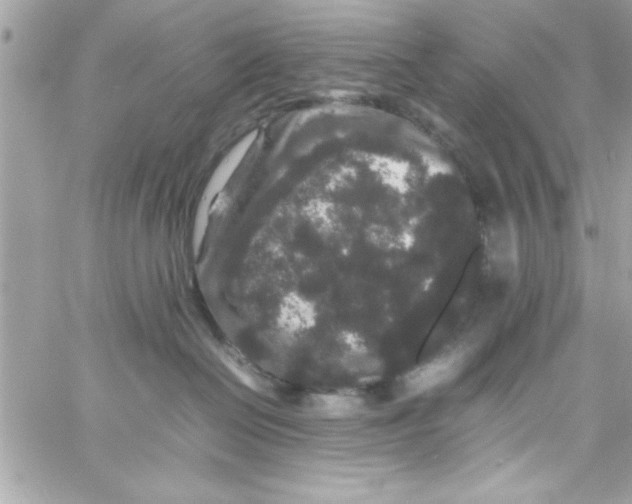 X0000057100286200510071945