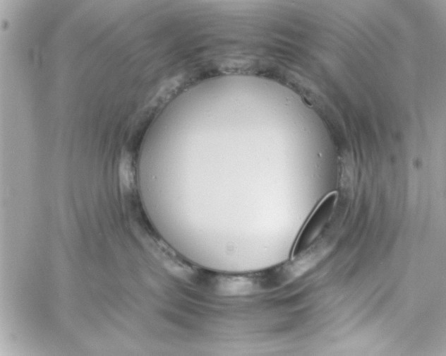 X0000057100287200510071945