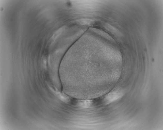 X0000057100288200510071945