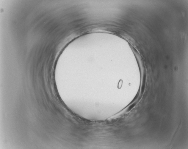 X0000057100289200510071944