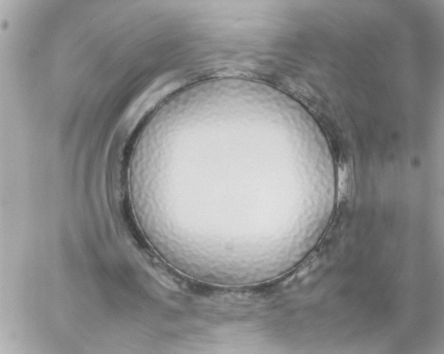 X0000057100291200510071944