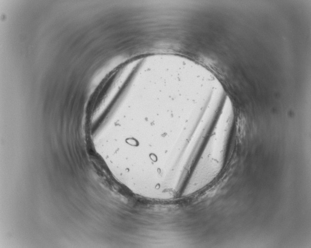 X0000057100292200510071944