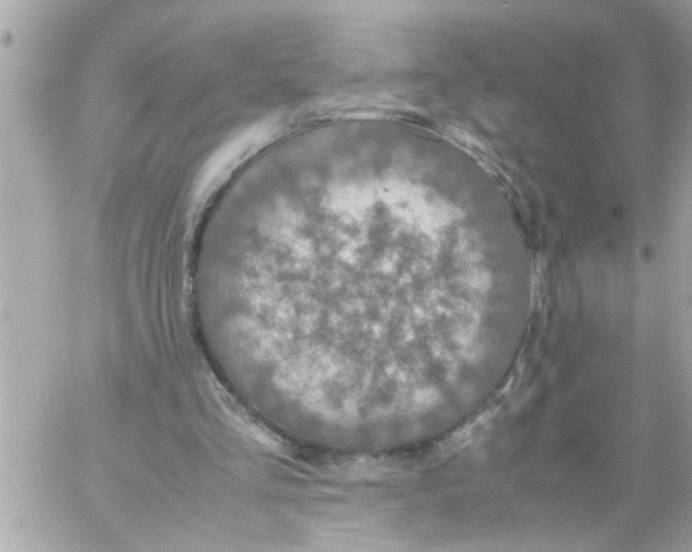 X0000057100293200510071944