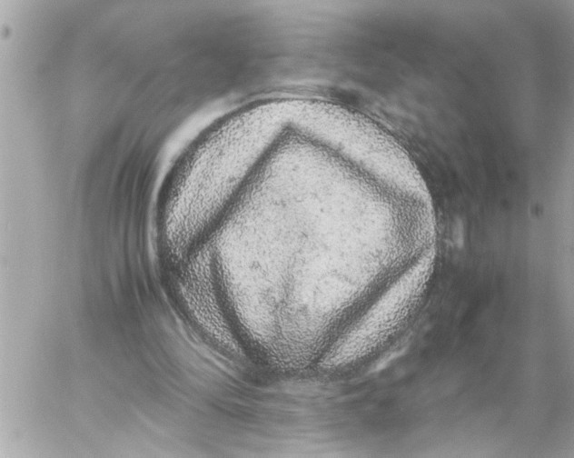 X0000057100294200510071944