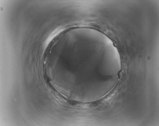 X0000057100295200510071944