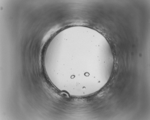 X0000057100296200510071944