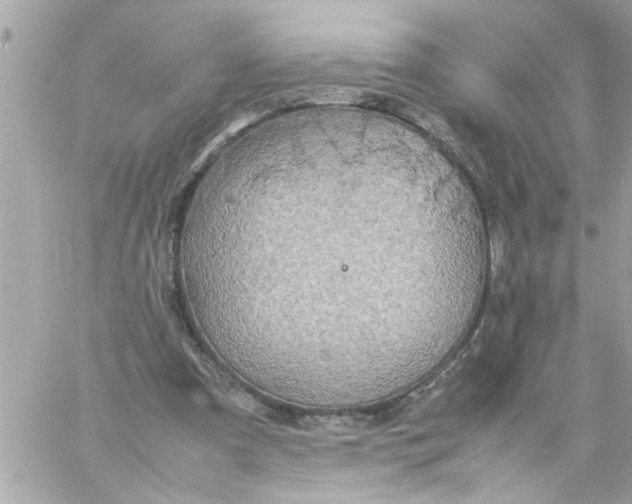 X0000057100297200510071944