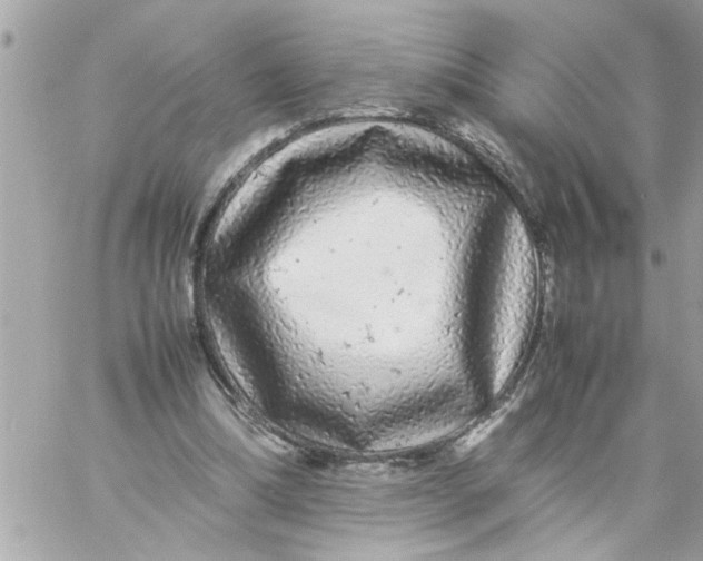 X0000057100298200510071944