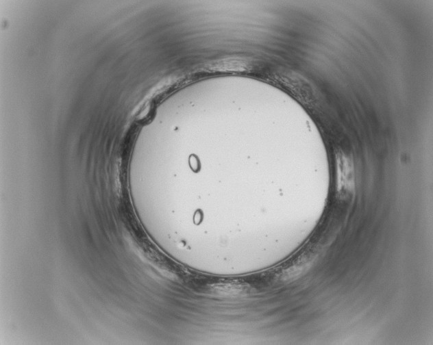 X0000057100300200510071944