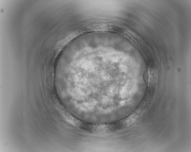 X0000057100301200510071944