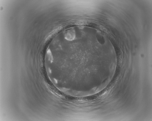 X0000057100303200510071944