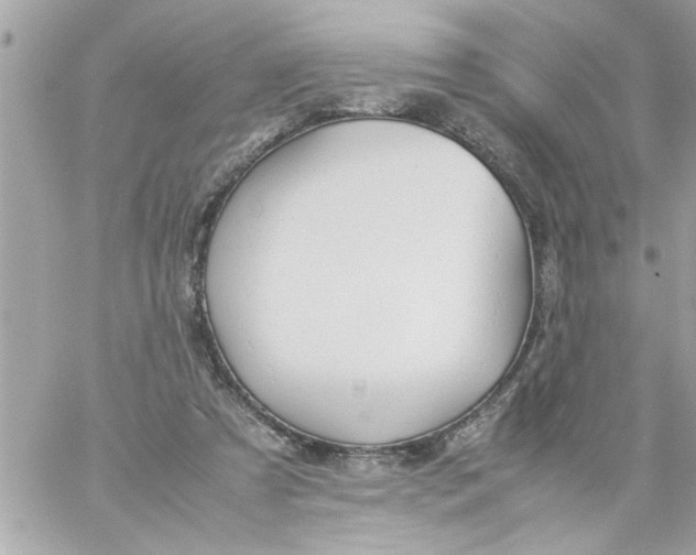 X0000057100305200510071944