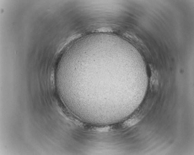 X0000057100306200510071944