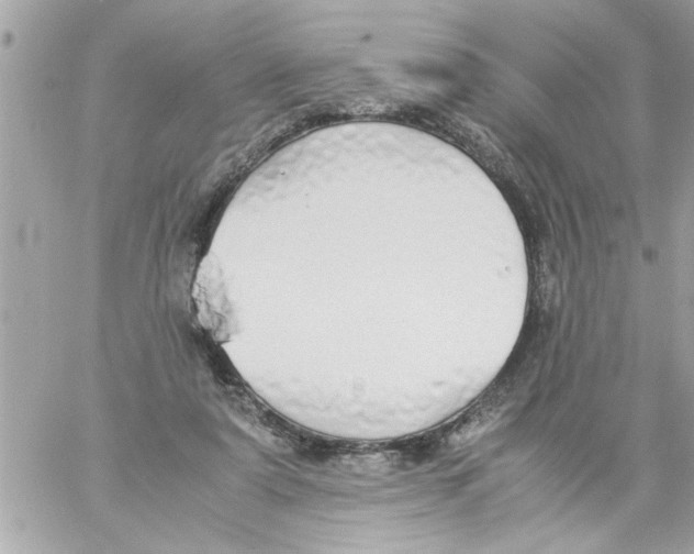 X0000057100307200510071944