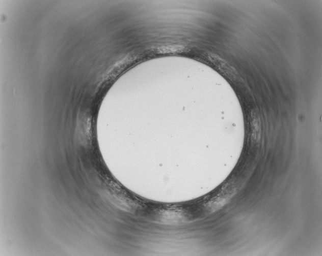 X0000057100308200510071944