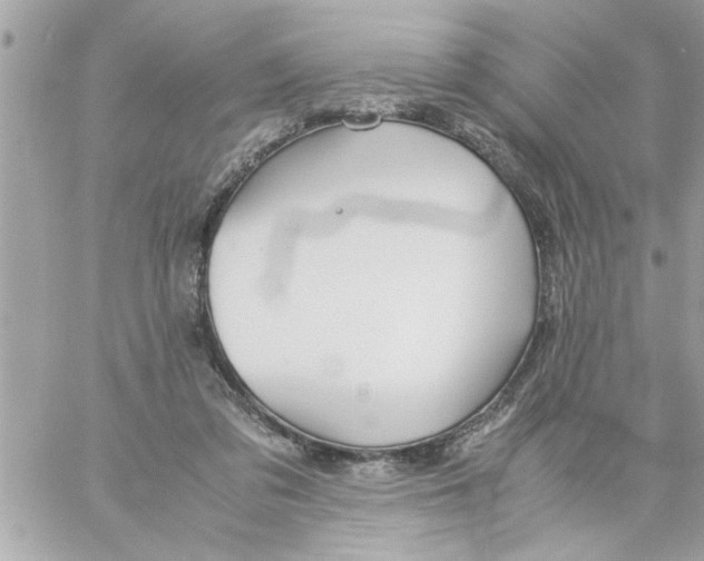 X0000057100309200510071944